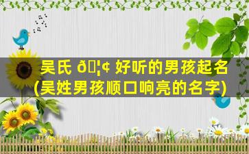吴氏 🦢 好听的男孩起名(吴姓男孩顺口响亮的名字)